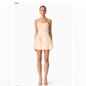 elliatt zaria yellow pink 3d floral embroidered mesh strapless mini dress small